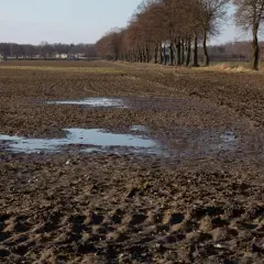 Błotniste pole po orce, z kałużami i śladami opon. W oddali widać rząd drzew i zabudowania. Podeszwa płużna świadczy o niedawnych pracach polowych.