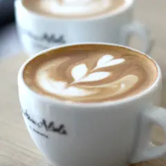Zwei Tassen Cappuccino mit Latte Art, die an Blätter erinnert. Perfekt für Ihre eigenen Cappuccino Rezepte.