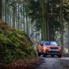 Pomarańczowy Land Rover Discovery 5 na leśnej drodze, otoczony mchem i jesiennymi liśćmi. Idealny do odkrywania nowych szlaków.