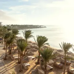 Rajski widok na plażę z palmami, leżakami i parasolami. Słońce odbija się w spokojnym morzu. Idealne miejsce na relaks w Palm Royale Soma Bay.
