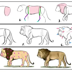 Secuencia de pasos para un dibujo de león, desde bocetos básicos hasta un león detallado.