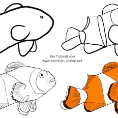 Tutorial de **peces para dibujar**: un pez payaso en cuatro etapas, desde un boceto simple hasta un dibujo a color.