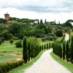 Strada bianca serpeggia tra cipressi nel **Val d'Orcia Pienza**, con un casale in cima alla collina.