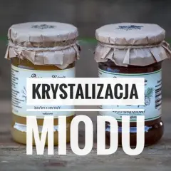 Jak długo krystalizuje się miód lipowy i co warto wiedzieć?