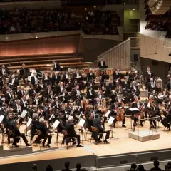 Skład filharmonii berlińskiej: poznaj muzyków i ich osiągnięcia