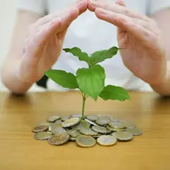 Ręce chronią młody pęd wyrastający z monet. Zastanawiasz się, czy warto inwestować w obligacje?