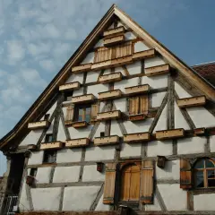 Fachwerkhaus mit vielen kleinen Holzkästen, die als mauersegler nest dienen.