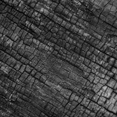 Nahaufnahme von verkohltem Holz, das die charakteristische Textur von Shou Sugi Ban zeigt. Die Risse und Muster sind tief und faszinierend.