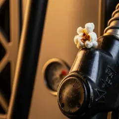 Jak zrobić popcorn w dieslu? Unikaj niebezpieczeństw i pomyłek