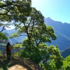 La isla más bonita de las Canarias: La Palma y su belleza natural