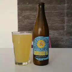Szklanka i butelka piwa miodowego bezalkoholowego Unplugged IPA na białym stole.