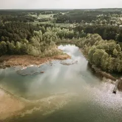 Malownicze jezioro Świętajno otoczone lasami i trzcinami. W oddali widać zabudowania wsi.