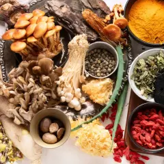 Vielfalt an adaptogenen Pflanzen: Blaubeeren, Pilze, Zimt, Kurkuma, Goji-Beeren und mehr.