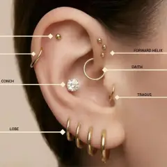 Ucho z licznymi kolczykami: flat, helix, conch, lobe, forward helix, daith, tragus. Zastanawiasz się, gdzie najbardziej boli kolczyk w uchu?