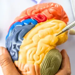 Rehabilitacja neurologiczna: Jak mózg leczy się sam?
