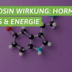 L-Tyrosin: was ist Tyrosin? Die Aminosäure ist wichtig für Hormone, Fokus & Energie. Molekülstruktur im Bild.