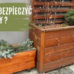 Jak zrobić termo donice, które ochronią rośliny przed zimnem