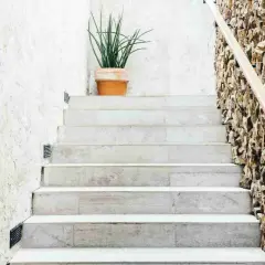 Escalier en marbre avec une plante en pot sur la première marche. Le carrelage de l'escalier, marche ou contremarche, est mis en valeur par un mur de pierres naturelles.