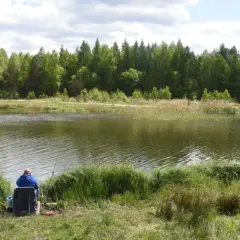 Spokojny dzień nad jeziorem, idealne miejsce gdzie na ryby z rodziną. Wędkarz w niebieskiej bluzie czeka na branie.