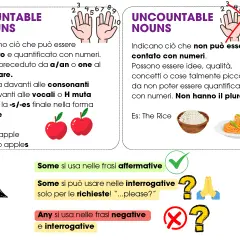 Nomi numerabili (es. mele) e non numerabili (es. riso, pasta). Regole per "a/an", "one", "s/-es" e per "some/any".