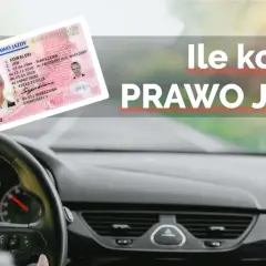 Prawo jazdy w ręku kierowcy za kierownicą samochodu.