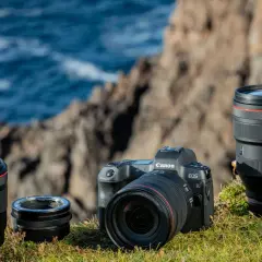 Canon EOS R camera with RF 50mm, RF 24-105mm lenses, and mount adapter on grass.