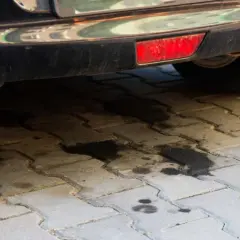 Cieknąca maglownica w Sharanie? Regeneracja to klucz do spokoju!