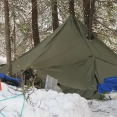 Grön lavvo med skorsten i en snöig skog. Utrustning för vintercamping ligger utspridd i snön.