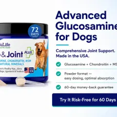 Supplément pour chiens NuLife Hip & Joint Plus. Aide à la mobilité, sans effets secondaires connus. Glucosamine, chondroïtine, MSM.