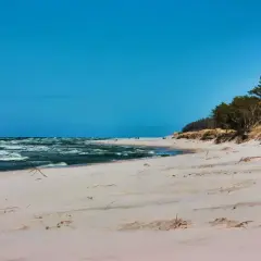 Plaża z piaszczystymi wydmami i lasem sosnowym, idealne miejsce na camping w Trójmieście.