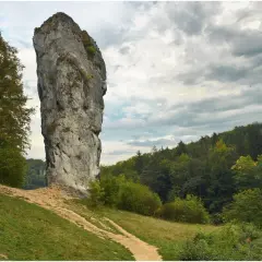 Ojcowski Park Narodowy: wysoka, skalna Maczuga Herkulesa góruje nad zielonym zboczem i lasem.