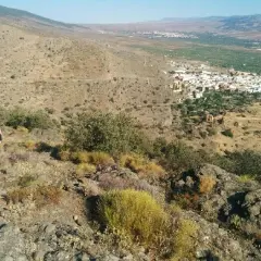 Un perro negro y una persona disfrutan de la vista de la jirola abrucena, un pueblo blanco en un valle árido.