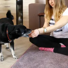 Czarny piesek z zaciekawieniem przyjmuje smakołyk z ręki dziewczyny, która z pewnością jest tą, kogo pies uważa za pana.