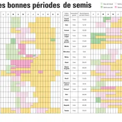 Calendrier des semis de céréales et légumes : Semis sous abri, en place, en pépinière et récolte pour de nombreuses espèces potagères.
