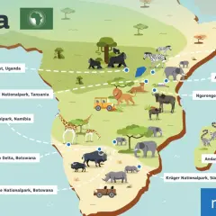 Karte von Afrika mit Tierabbildungen und Nationalparks für eine Safari. Gorillas, Löwen, Elefanten, Zebras und Giraffen sind zu sehen.