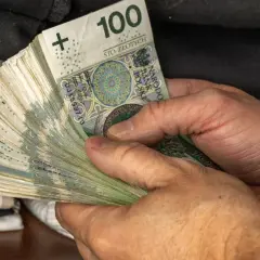 Dłoń trzyma plik banknotów 100 zł. To segment d, część większej całości, być może oszczędności.