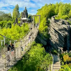 Disneyland Paris für Erwachsene: Tipps, Attraktionen & Shows