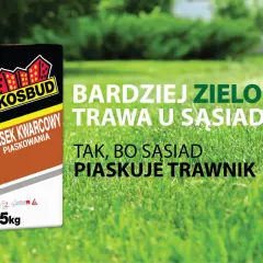 Worek piasku kwarcowego KOSBUD do piaskowania trawnika. Bo sąsiad piaskuje trawnik, a jego trawa jest bardziej zielona.