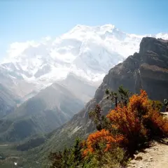 Herbstliche Farben im Vordergrund, dahinter majestätische schneebedeckte Gipfel. Ein Pfad schlängelt sich durch die Landschaft. Nepal im November.