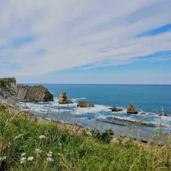 Vista de la **playa de dicido** con rocas emergiendo del mar azul y vegetación verde en primer plano bajo un cielo nublado.