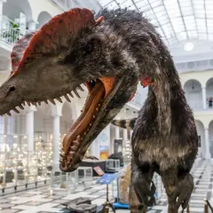 Model dinozaura w muzeum, świetne atrakcje dla dzieci w Warszawie dziś!