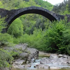 Antico ponte della Pia in pietra, con un arco maestoso, sovrasta un ruscello tra la rigogliosa vegetazione primaverile.