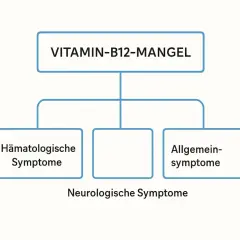 Übersicht über Symptome bei Vitamin-B12-Mangel: Hämatologische, neurologische und allgemeine Symptome.