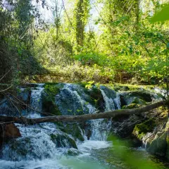 Cascada en la ruta de los Baños de Popea, con vegetación exuberante y agua cristalina cayendo sobre rocas cubiertas de musgo.