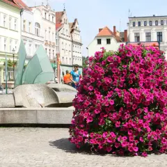 Kwietnik kaskadowy jak zrobić - proste kroki do pięknej aranżacji