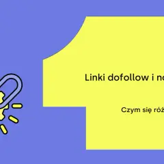 Grafika przedstawia ikonę łańcucha i zębatki, symbolizującą linki dofollow. Tekst pyta: "Link dofollow i nofollow. Czym się różnią?".