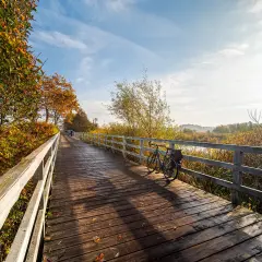 Drewniany mostek na trasie Euro Velo, z rowerem czekającym na podróż przez jesienne krajobrazy.