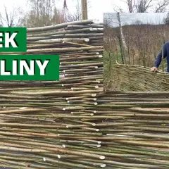 Jak zrobić płot z wikliny: proste kroki i skuteczne porady
