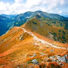 Szlak wiodący przez malownicze polskie góry Tatry, z jesienną trawą mieniącą się złotem i błękitnym niebem.