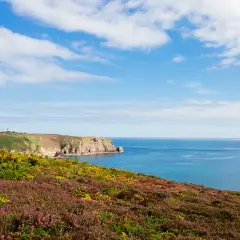 Trois femmes profitent d'un trek en Bretagne, longeant une côte rocheuse et fleurie, sous un ciel bleu parsemé de nuages.
